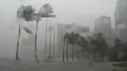 Tropical Storm Danielle May Become This Year's First Hurricane