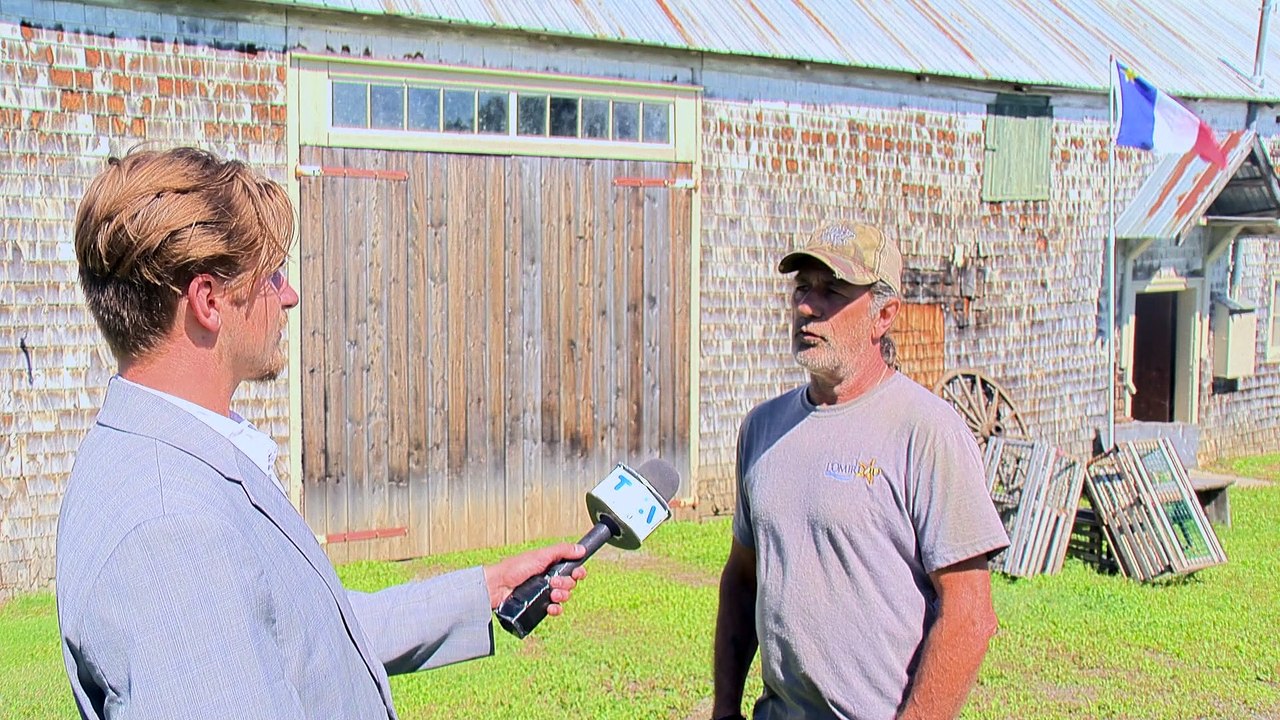 Pêche au homard : Une saison de soulagement