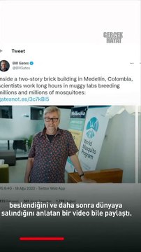 Maymun çiçeği ellerinde patladı! İblis'in adamı Bill Gates, 'sivrisinek' planını devreye soktu: Haftada 30 milyon