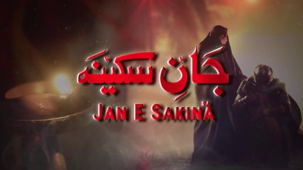 Jan E Sakina (Baba Khujae) (Urdu/Persian) | Ali Jee | 2022 | 1444