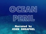 Coleção Planeta Vivo - Vol. 6: Os Predadores do Mar (legendado)