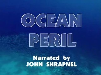 Coleção Planeta Vivo - Vol. 6: Os Predadores do Mar (legendado)