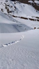 Sticky Snow Helps Snowballs Grow