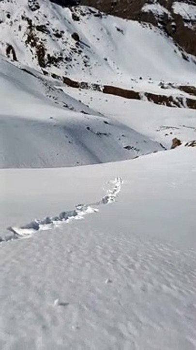 Sticky Snow Helps Snowballs Grow