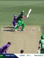 Ultimate Cricket Insights & Updates 🏏