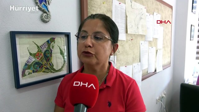 Çanakkale Boğazı'nda 3 metre boyunda köpek balığı yakalandı