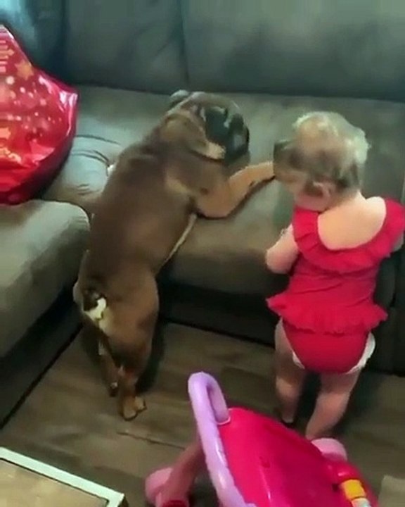 Adorable consistency