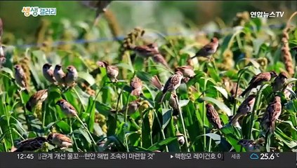 [생생갤러리] 78년 만에 육지와 연결된 '육지 속 섬마을' 外