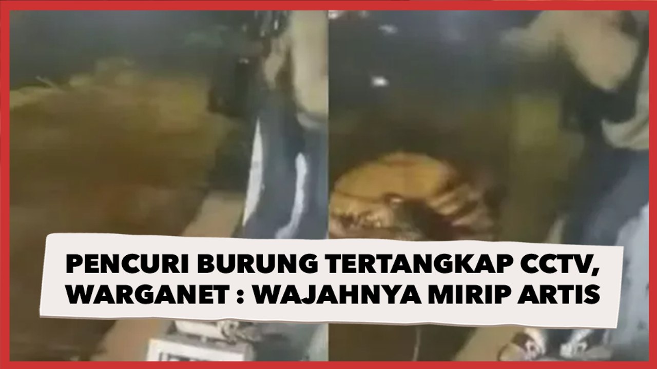 Pencuri Burung Tertangkap CCTV, Warganet Salfok Gegara Wajahnya Disebut Mirip Artis Terkenal