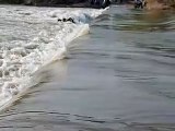 कालानला-बांसी मार्ग पर मेज नदी की पुलिया पर पानी के बहाव में बहा ट्रैक्टर सहित चालक-video