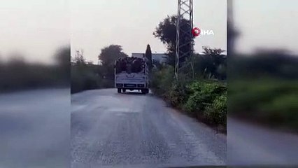 Bursa’da ölümüne yolculuk! O anlar kamerada