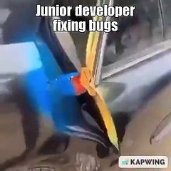 Junior developer fixing bug