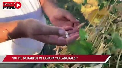 "Bu yıl da karpuz ve lahana tarlada kaldı"