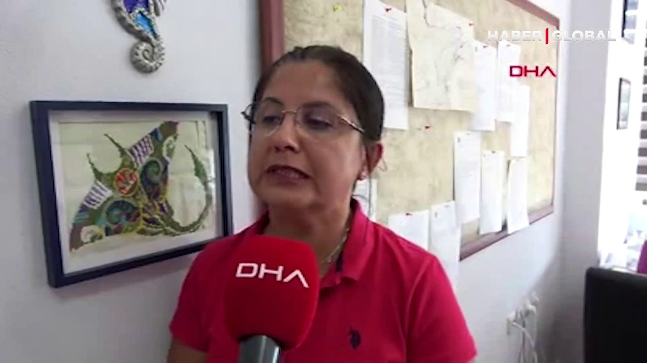 Oltası ağırlaşınca... Amatör balıkçı, boğazda dev köpek balığı böyle yakalandı! İşte o anlar