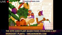 The hype over plant-based foods overlooks a key ingredient: Plants - 1breakingnews.com