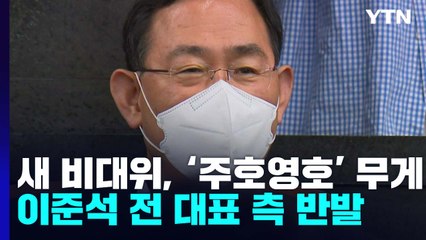 새 비대위, '주호영호' 무게..."패소하려 작정" 비판도 / YTN
