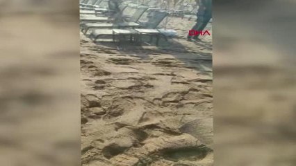 ŞİLE'DE DENİZDE KAYBOLAN DENİZ BARAN ÇİÇEK'İN CESEDİNE ULAŞILDI