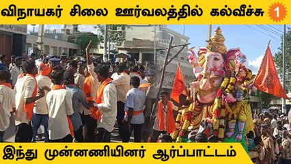 விநாயகர் சிலை ஊர்வலத்தில் கல் வீசப்பட்டதால் பரபரப்பு