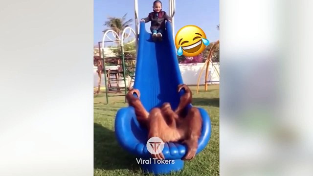 #funniest #animals #videoshorts Videos -#cutest #cats and #crazy #dogs #dancing #2022