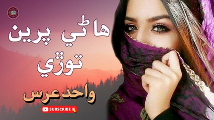 Haanre Pireen Tode | Wahid Urs | New Sindhi Song | Sindhi Gaana