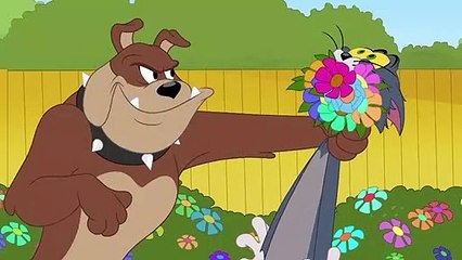 Tom & Jerry in  WB Kids Show