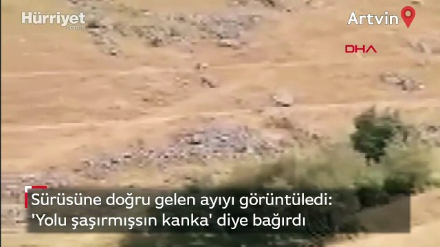 Sürüsüne dadanan ayıyı görüntüledi, 'Yolu şaşırmışsın kanka' diye bağırdı
