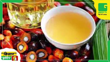 कृषि वैज्ञानिकों ने धान में बौने रोग से परेशान किसानों को लिए जारी की एडवायजरी | Agri News | GreenTV