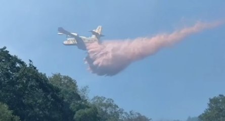 Orbetello (GR) - Incendio boschivo in zona impervia (03.09.22)