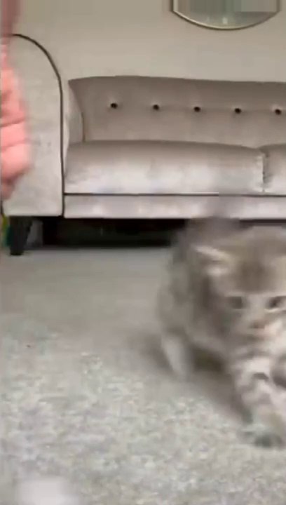 Round And Round Game