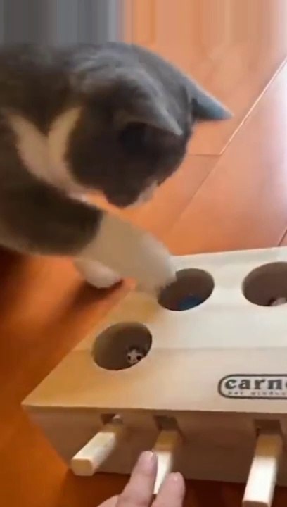 Ops game play | Funny game play | Scared game play