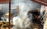 Burdur haber! Burdur'da çiftlikteki balya yangını korkuttu