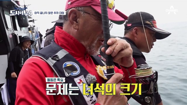 돌돔아 입을 좀 벌려주겠니? 노장 이덕화 '3짜' 돌돔 만들기 프로젝트