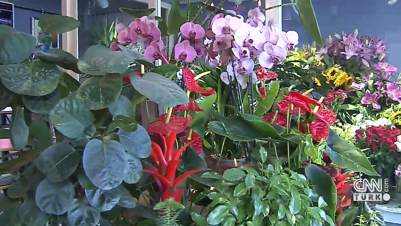 Çiçekçilere "mesleki yeterlilik" yolda