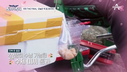 ＊진짜가 나타났다＊ 더블 챔질로 엮는 박 프로의 '41cm' 대물 돌돔!