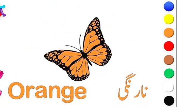 15 Names of colours in English and Urdu (Rangoon ke Naam) رنگوں کے نام انگلش اور اردو میں