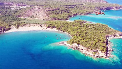 Antik kentte flamingo sürprizi