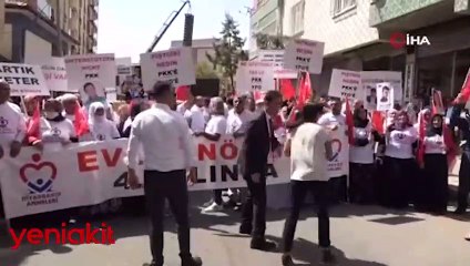 'Kandilin itleri, yıldıramaz bizleri'