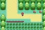 Pokemon Fire Red 898 Randomizer online multiplayer - gba