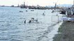 Balıkesir haber | Marmara Denizi'nde uluslararası yelken yarışları 2. gününde