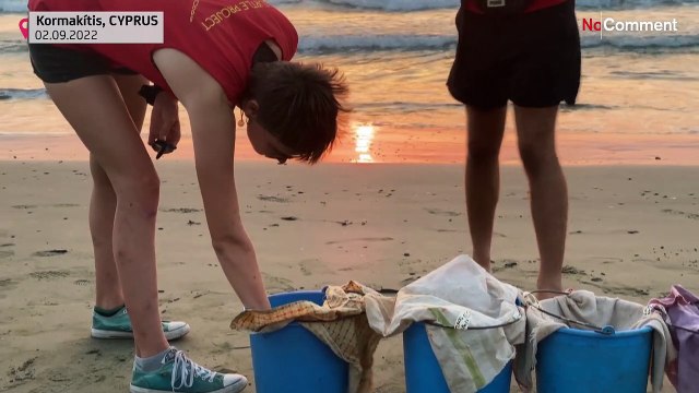 NGO releases newly-hatched sea turtles on Cyprus's west coast at sunset