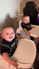 Twins have completely different reactions to the same sound