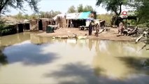 Pakistan'ı vuran sel felaketinde ölü sayısı 265'e çıktı