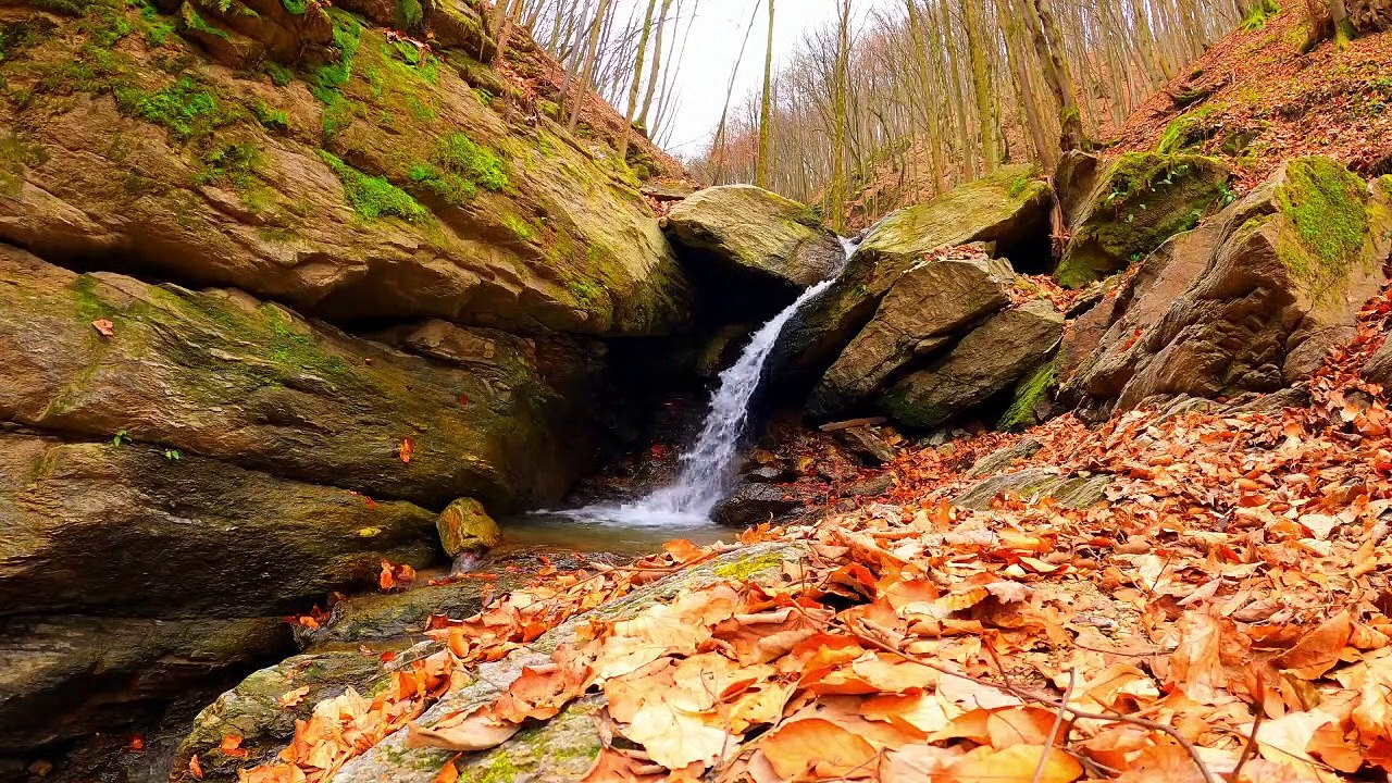 Relaxing nature sounds - the spiritual vibrations