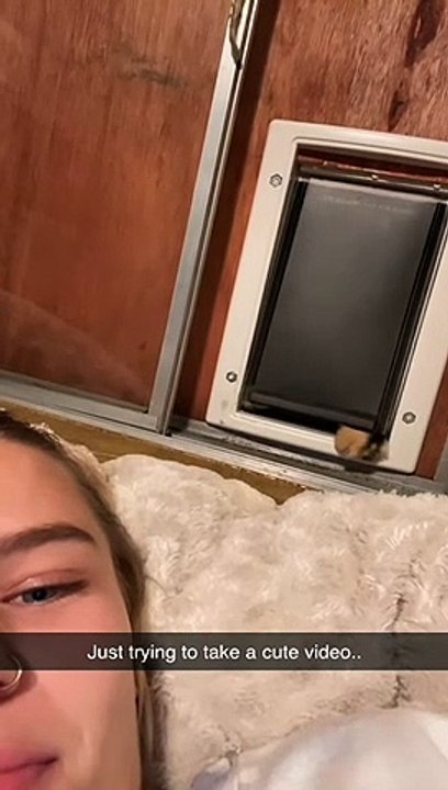 Le chat apporte à maman une surprise spéciale - Buzz Buddy