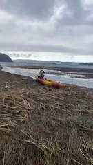 Le chiot attend patiemment l'aventure aquatique - Buzz Buddy