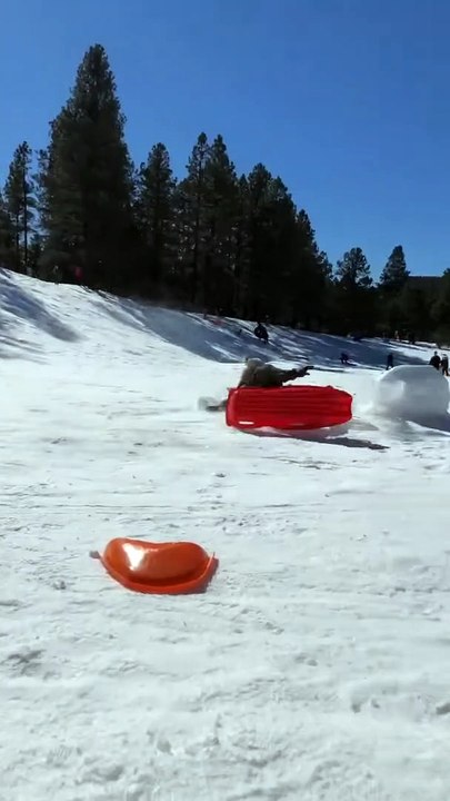 Une femme qui fait de la luge perd le contrôle et heurte un bloc de glace - Buzz Buddy