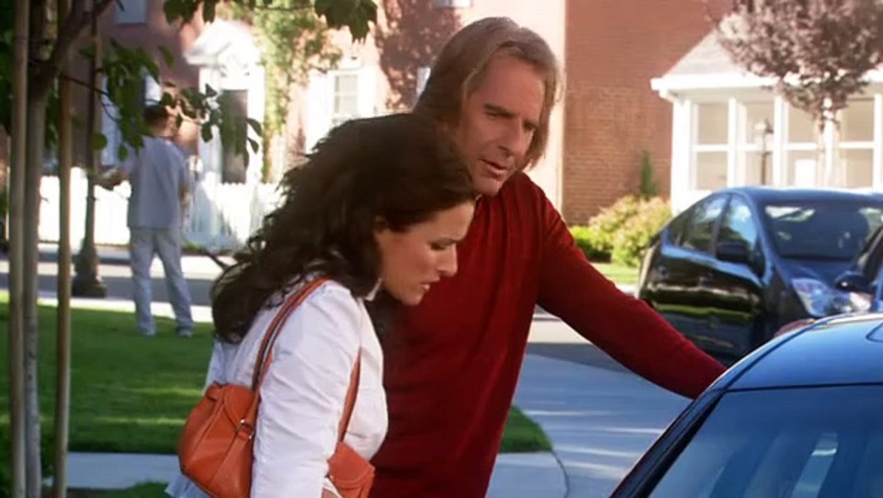 The New Adventures of Old Christine Staffel 2 Folge 2 HD Deutsch