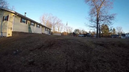 Wild wipeout pour chiot ludique - Buzz Buddy