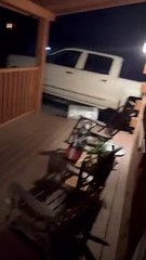 L'ours frappe la poubelle dans le camion et charge l'homme à la porte - Buzz Buddy