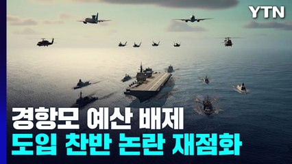 경항모 예산 배제...도입 찬반 논란 재점화 / YTN